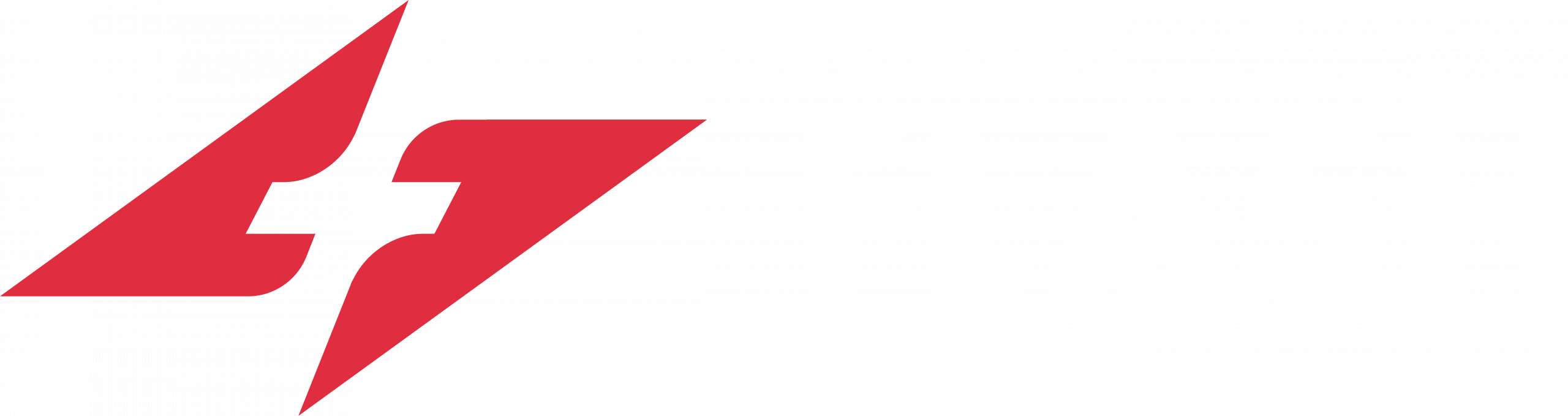 Flash Health